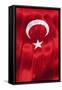 National Flag of Turkey.-Jon Hicks-Framed Stretched Canvas