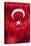 National Flag of Turkey.-Jon Hicks-Stretched Canvas