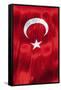 National Flag of Turkey.-Jon Hicks-Framed Stretched Canvas