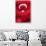 National Flag of Turkey.-Jon Hicks-Photographic Print displayed on a wall