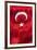 National Flag of Turkey.-Jon Hicks-Framed Photographic Print