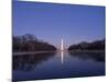 National Mall and Washington Monument at Dusk, Washington DC, USA-Michele Falzone-Mounted Photographic Print