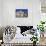 National Museum, Budapest, Hungary, Europe-Neil Farrin-Stretched Canvas displayed on a wall