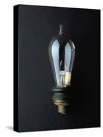 National Museum of American History - Science and Inventions: Light Bulb-null-Stretched Canvas