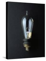 National Museum of American History - Science and Inventions: Light Bulb-null-Stretched Canvas