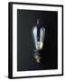 National Museum of American History - Science and Inventions: Light Bulb-null-Framed Photographic Print