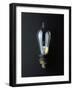 National Museum of American History - Science and Inventions: Light Bulb-null-Framed Photographic Print