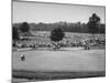 National Open Golf Championship Tournament at Oakmont Country Club in Pittsburgh-John Dominis-Mounted Premium Photographic Print