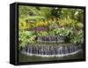 National Orchid Garden in Botanic Gardens, Singapore, Southeast Asia-Pearl Bucknall-Framed Stretched Canvas