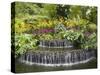 National Orchid Garden in Botanic Gardens, Singapore, Southeast Asia-Pearl Bucknall-Stretched Canvas