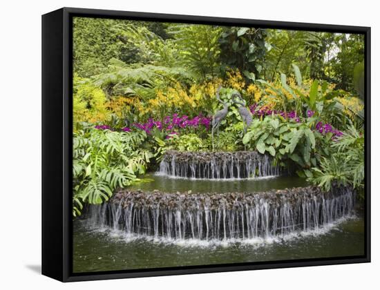 National Orchid Garden in Botanic Gardens, Singapore, Southeast Asia-Pearl Bucknall-Framed Stretched Canvas