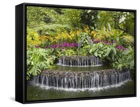 National Orchid Garden in Botanic Gardens, Singapore, Southeast Asia-Pearl Bucknall-Framed Stretched Canvas