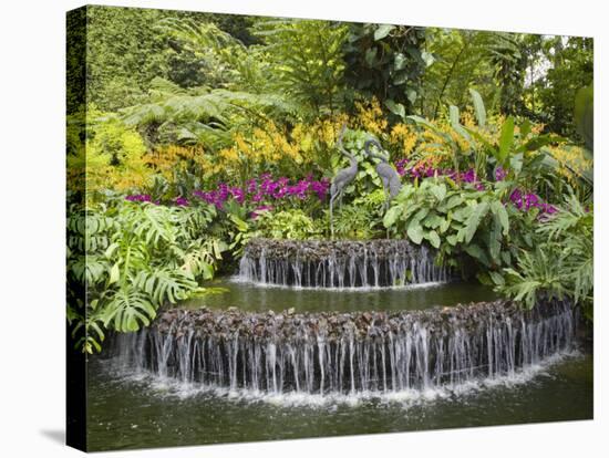 National Orchid Garden in Botanic Gardens, Singapore, Southeast Asia-Pearl Bucknall-Stretched Canvas