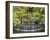 National Orchid Garden in Botanic Gardens, Singapore, Southeast Asia-Pearl Bucknall-Framed Photographic Print