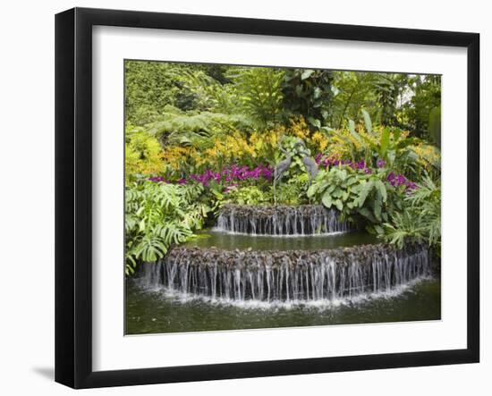 National Orchid Garden in Botanic Gardens, Singapore, Southeast Asia-Pearl Bucknall-Framed Photographic Print