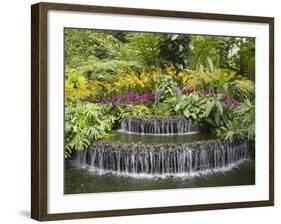 National Orchid Garden in Botanic Gardens, Singapore, Southeast Asia-Pearl Bucknall-Framed Photographic Print