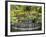 National Orchid Garden in Botanic Gardens, Singapore, Southeast Asia-Pearl Bucknall-Framed Photographic Print