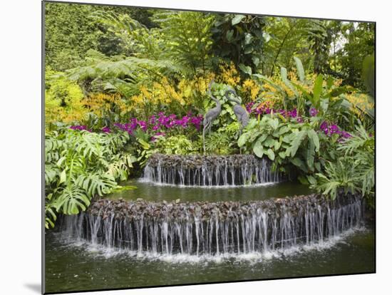 National Orchid Garden in Botanic Gardens, Singapore, Southeast Asia-Pearl Bucknall-Mounted Photographic Print