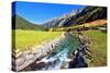 National Park Krimml Waterfalls in Austria. Headwaters of Waterfalls - a Narrow Fast Roiling River-kavram-Stretched Canvas