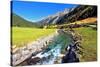 National Park Krimml Waterfalls in Austria. Headwaters of Waterfalls - a Narrow Fast Roiling River-kavram-Stretched Canvas