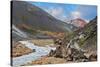 National Park Landmannalaugar in Iceland. the Green Stone Rock and Stream in the Gorge-kavram-Stretched Canvas