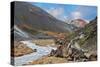 National Park Landmannalaugar in Iceland. the Green Stone Rock and Stream in the Gorge-kavram-Stretched Canvas