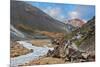 National Park Landmannalaugar in Iceland. the Green Stone Rock and Stream in the Gorge-kavram-Mounted Photographic Print