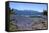 National Park Los Alerces (Alerces National Park), Patagonia, Argentina-Peter Groenendijk-Framed Stretched Canvas