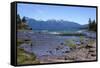 National Park Los Alerces (Alerces National Park), Patagonia, Argentina-Peter Groenendijk-Framed Stretched Canvas