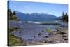 National Park Los Alerces (Alerces National Park), Patagonia, Argentina-Peter Groenendijk-Stretched Canvas