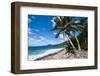 National Park of American Samoa, Tutuila Island, American Samoa, South Pacific, Pacific-Michael Runkel-Framed Photographic Print