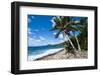 National Park of American Samoa, Tutuila Island, American Samoa, South Pacific, Pacific-Michael Runkel-Framed Photographic Print