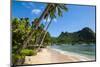 National Park of American Samoa, Tutuila Island, American Samoa, South Pacific, Pacific-Michael Runkel-Mounted Photographic Print