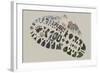 National Park Service Centennial - Footprint-Lantern Press-Framed Art Print