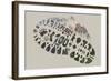 National Park Service Centennial - Footprint-Lantern Press-Framed Art Print