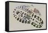 National Park Service Centennial - Footprint-Lantern Press-Framed Stretched Canvas