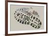 National Park Service Centennial - Footprint-Lantern Press-Framed Art Print