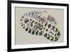 National Park Service Centennial - Footprint-Lantern Press-Framed Art Print