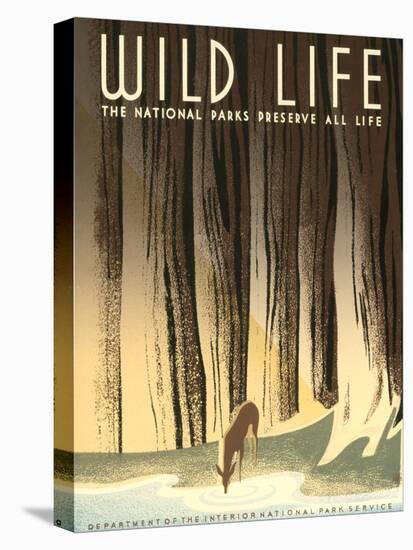 National Parks Travel Poster, Wild Life-null-Stretched Canvas