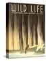 National Parks Travel Poster, Wild Life-null-Stretched Canvas