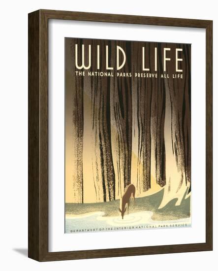 National Parks Travel Poster, Wild Life-null-Framed Art Print