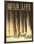 National Parks Travel Poster, Wild Life-null-Framed Art Print