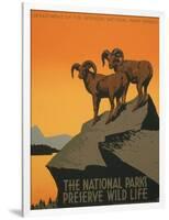 National Parks-J. Hirt-Framed Art Print