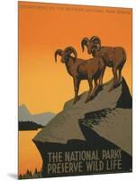 National Parks-J. Hirt-Mounted Art Print