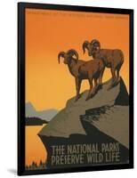 National Parks-J. Hirt-Framed Art Print