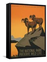 National Parks-J. Hirt-Framed Stretched Canvas