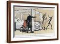 Brown Frame