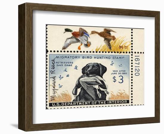 National Postal Museum: 3 Dollar Duck Stamp Remarque-null-Framed Art Print