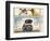 National Postal Museum: 3 Dollar Duck Stamp Remarque-null-Framed Art Print