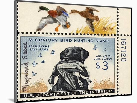 National Postal Museum: 3 Dollar Duck Stamp Remarque-null-Mounted Art Print